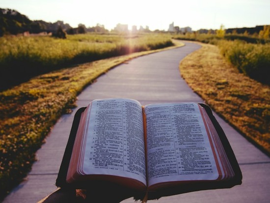 A Bible is held open above a pathway, symbolizing how the truth of Scripture leads us.