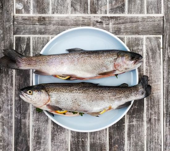 A plate of fish, which are considered clean meats in the Bible