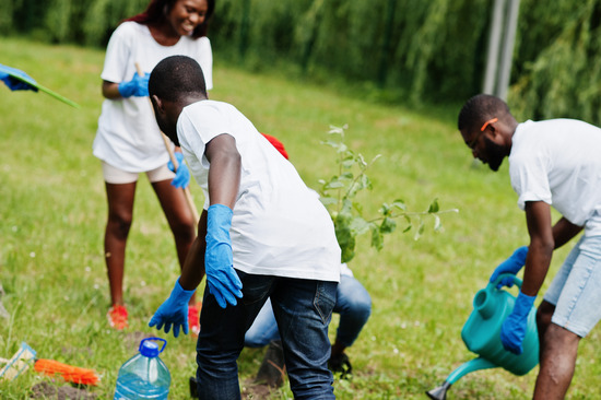 A group of young people plant a tree outside, highlighting that Adventist youth ministries often involves community service.