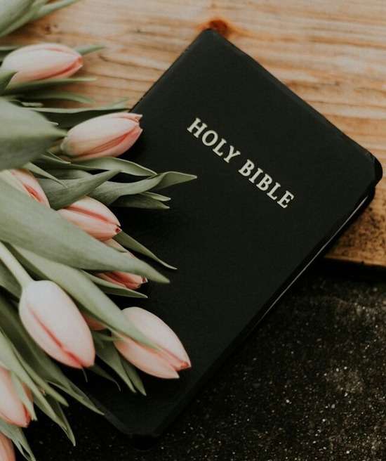 Image of a Bible, with a bouquet of tulips decoratively placed on top.