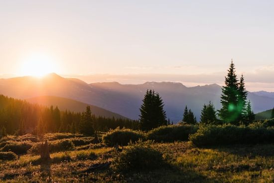 A landscape of evergreens with the sun setting behind some mountains