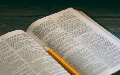 Individual or Group Bible Study—Which Is Better?